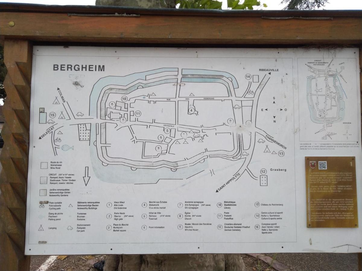 Appartement Bergheim Piscine Extérieur photo